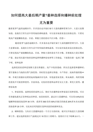 如何提高大姜后期产量-姜种选择和播种前处理尤为重要.docx