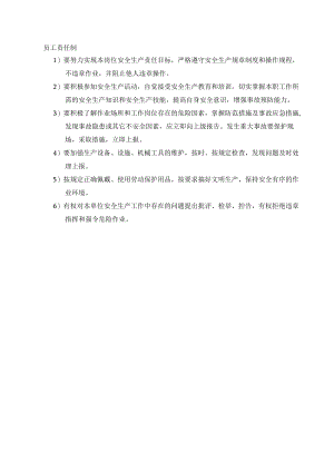 员工安全领导安全责任制.docx