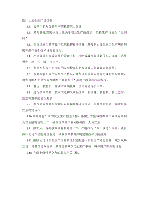 副厂长安全生产责任制.docx