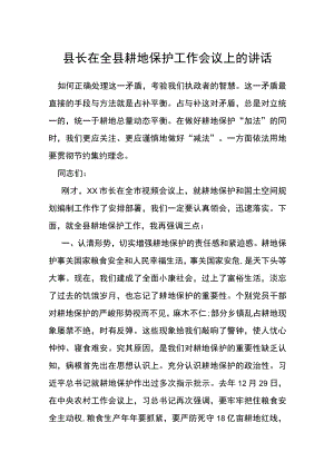 县长在全县耕地保护工作会议上的讲话.docx