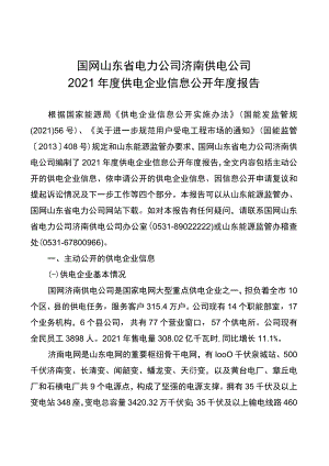 国家电网-国网山东省电力公司.docx