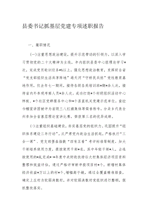 县委书记抓基层党建专项述职报告.docx
