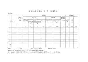 劳务工工资支付情况年度报表.docx