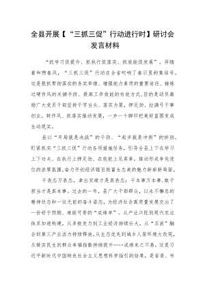 全县开展【“三抓三促”行动进行时】研讨会发言材料.docx