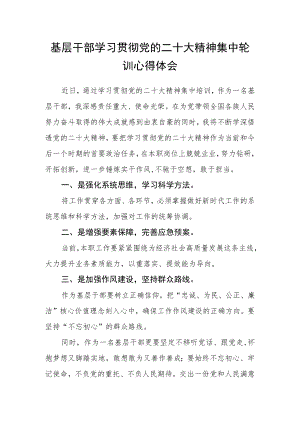 基层干部学习贯彻党的二十大精神集中轮训心得体会.docx