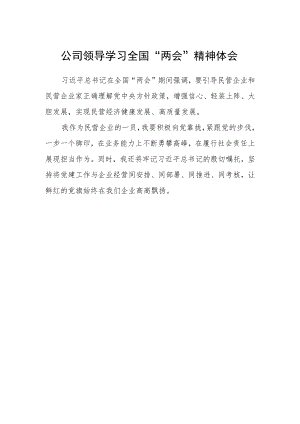 公司领导学习全国“两会”精神体会.docx