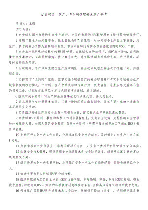 分管安全、生产、车队副经理安全生产职责.docx
