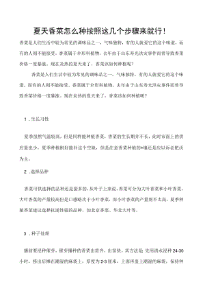 夏天香菜怎么种按照这几个步骤来就行！.docx