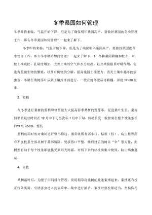 冬季桑园如何管理.docx