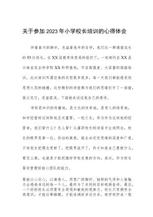 关于参加2023年小学校长培训的心得体会.docx