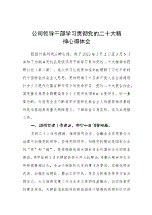 公司领导干部学习贯彻党的二十大精神心得体会.docx