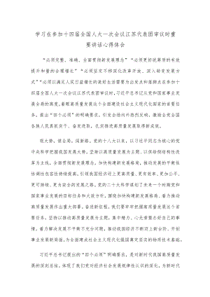 学习在参加十四届全国人大一次会议江苏代表团审议时重要讲话心得体会.docx