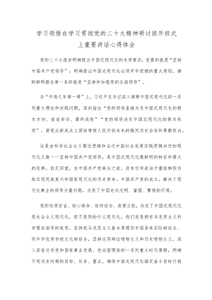 学习领悟在学习贯彻党的二十大精神研讨班开班式上重要讲话心得体会.docx
