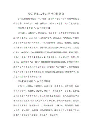 工业园区纪检干部组织学习党的二十大精神个人心得体会.docx