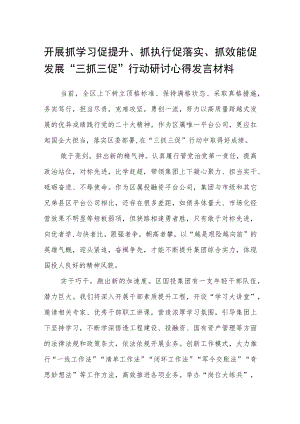 开展抓学习促提升、抓执行促落实、抓效能促发展“三抓三促”行动研讨心得发言材料3篇.docx