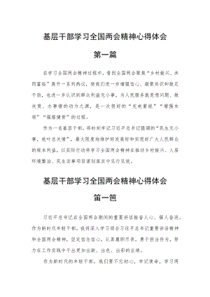基层干部学习全国两会精神心得体会六篇.docx