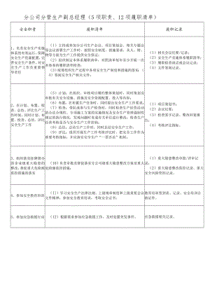 分公司分管生产副总经理履职能力评价清单.docx