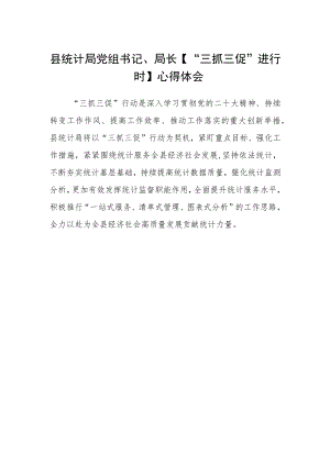 县统计局党组书记、局长【“三抓三促”进行时】心得体会.docx