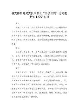 县文体旅游局党员干部【“三抓三促”行动进行时】学习心得七篇.docx