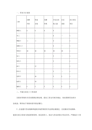 劳动力计划表.docx