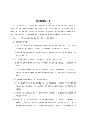 安全总监任命书模板.docx