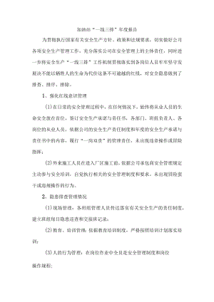 加油站“一线三排”年度报告.docx