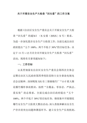 关于开展安全生产大检查回头看的工作方案.docx
