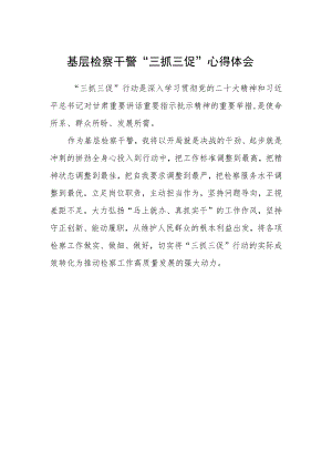 基层检察干警“三抓三促”心得体会.docx