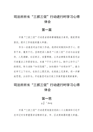 司法所所长“三抓三促”行动进行时学习心得体会五篇.docx