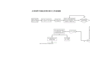 大学领导干部经济责任审计工作流程图.docx