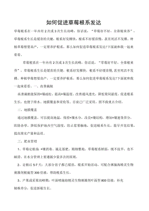 如何促进草莓根系发达.docx