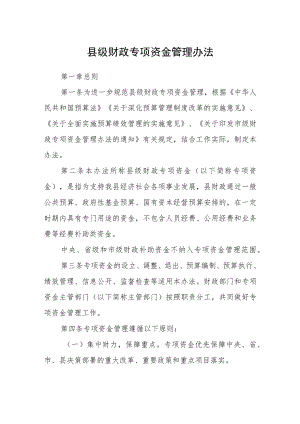 县级财政专项资金管理办法.docx