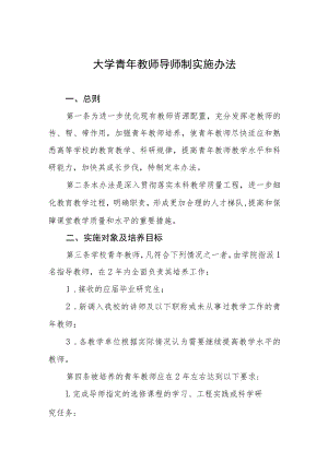 大学青年教师导师制实施办法.docx