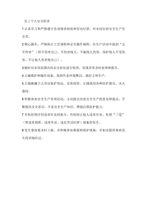 员工个人安全职责.docx