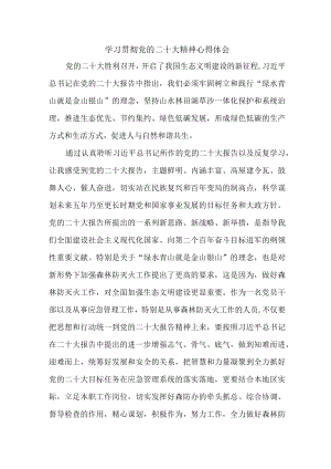 应急管理综合科负责人《学习贯彻党的二十大精神》个人心得体会 （汇编4份）.docx