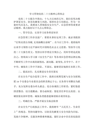 应急管理综合科负责人《学习贯彻党的二十大精神》个人心得体会 （4份）.docx