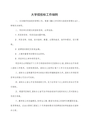 大学招投标工作细则.docx