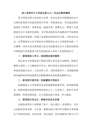 市区看守所所长深入贯彻学习十四届全国人大一次会议精神.docx