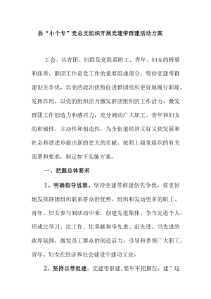 县小个专党总支(党委)组织开展党建带群建活动方案.docx