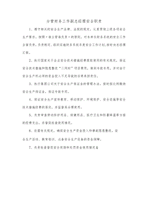 分管财务工作副总经理安全职责.docx