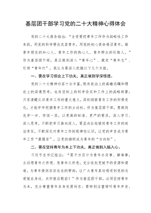 基层团干部学习党的二十大精神心得体会.docx