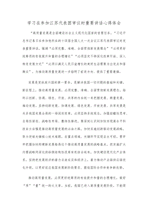 学习在参加江苏代表团审议时重要讲话心得体会.docx