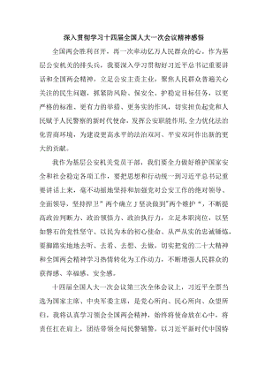 大学生党员干部《深入贯彻学习十四届全国人大》一次会议精神心得领悟 （新编5份）.docx
