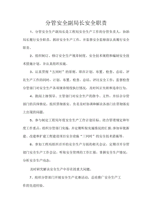 分管安全副局长安全职责.docx