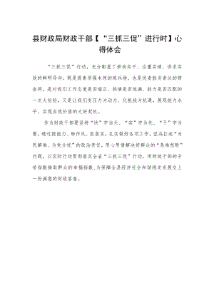 县财政局财政干部【“三抓三促”进行时】心得体会.docx
