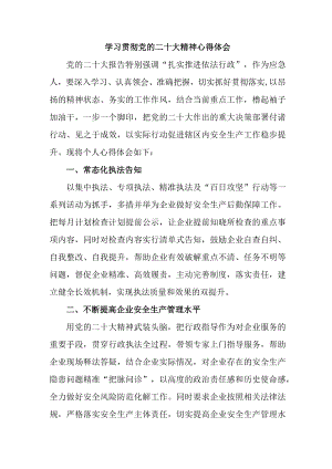 应急管理局执法大队党员干部学习贯彻党的二十大精神个人心得体会 （4份）.docx
