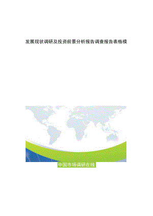 发展现状调研及投资前景分析报告调查报告表格模.docx