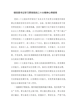 党委书记学习贯彻党的二十大精神心得感悟4篇参考范文.docx