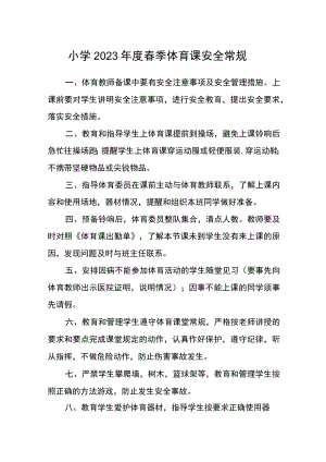 小学2023年度春季体育课安全常规.docx