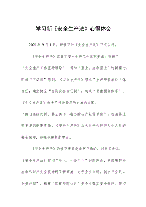 安全生产监督人员学习新《安全生产法》心得体会十篇.docx